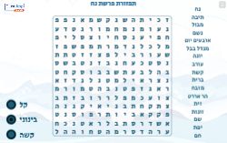 תפזורת לפרשת נח